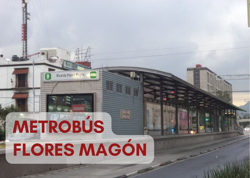metrobus flores magon